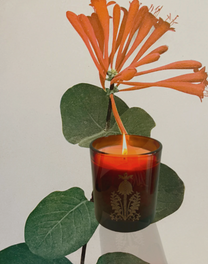The Quiet Botanist- Forever Flowers Candle