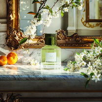 Trudon Eau de Parfum - ABSOLU