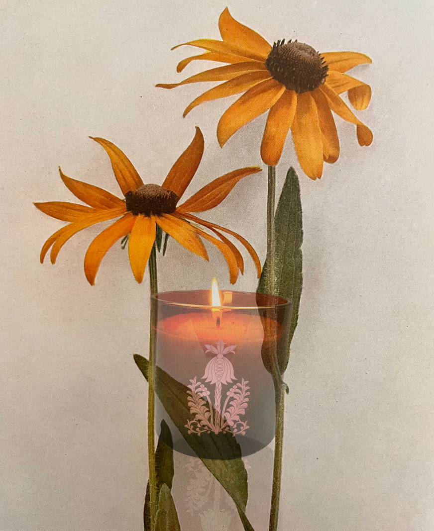 The Quiet Botanist : Orchard Sun Candle