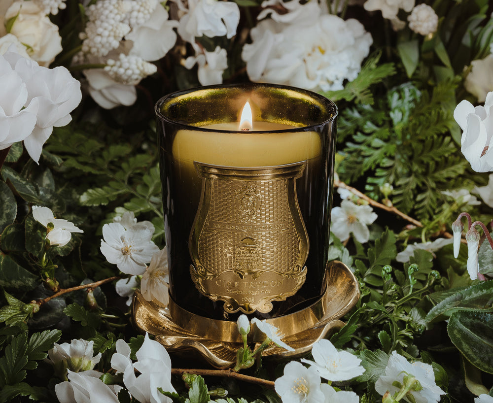 Trudon Classic Premium Scented Candle - Ernesto