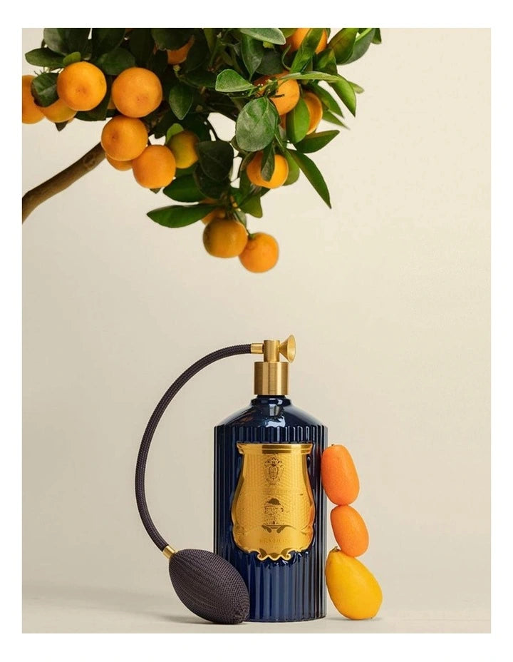 Trudon - Reggio Room Spray