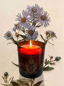 Quiet Botanist- In the Weeds Candle