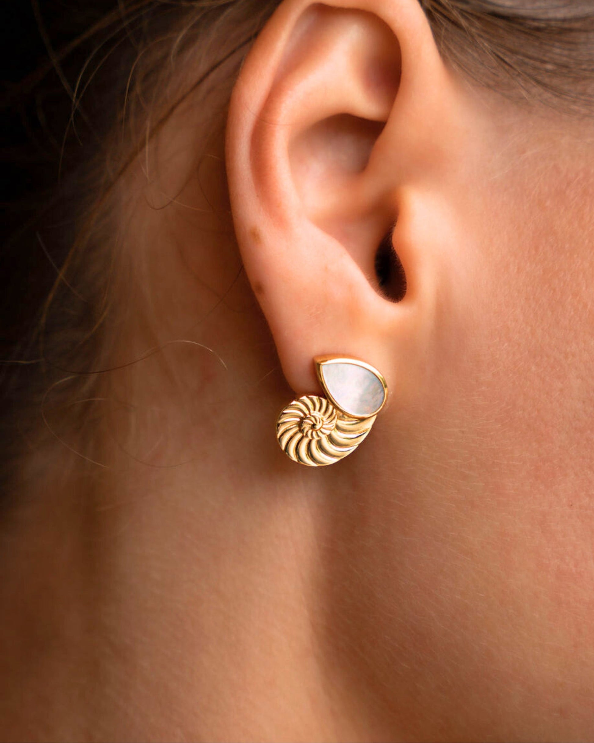 Nautilus Seashell Mother of Pearl Stud Earrings