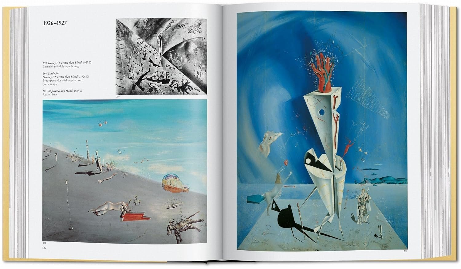 DALI.  The Paintings.
