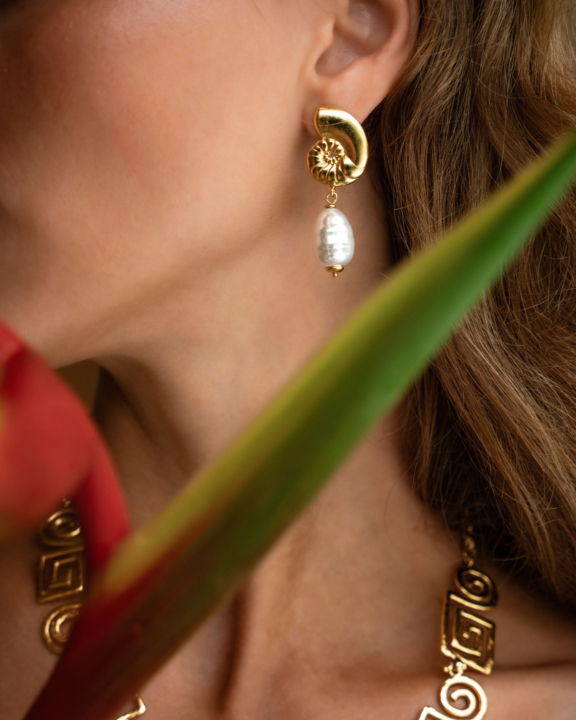 Nautilus Seashell Pearl Drop Stud Earrings