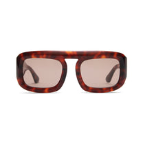 Elisa Johnson Aries - Red Tortoise
