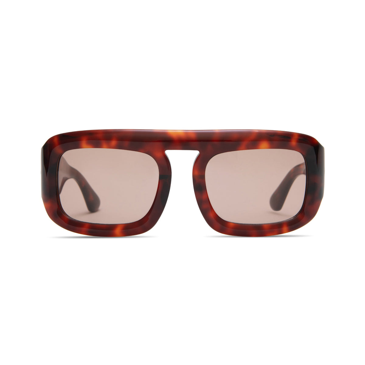 Elisa Johnson Aries - Red Tortoise