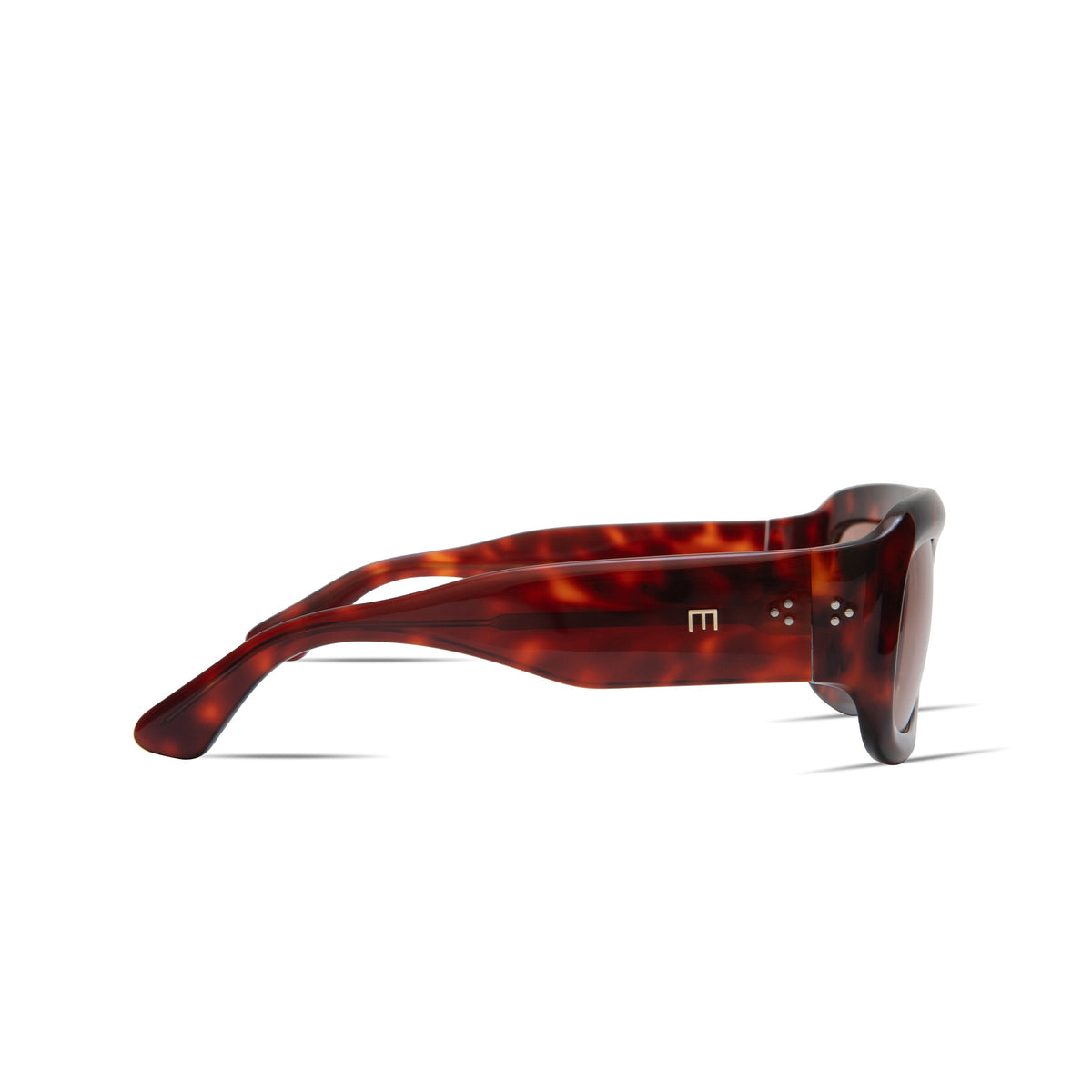 Elisa Johnson Aries - Red Tortoise