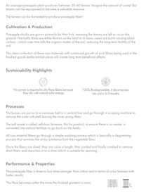 Cossac Ballet Wrap Top - Ecru Banana &amp; Pineapple Fiber