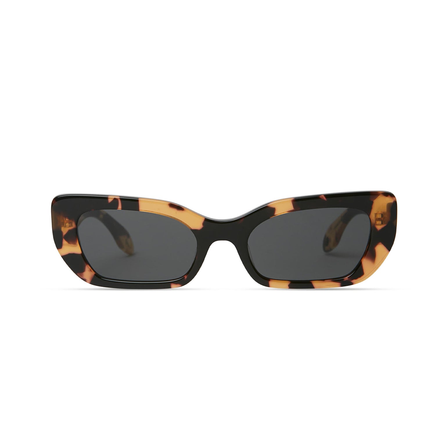 COOKIE- BROWN TORTOISE