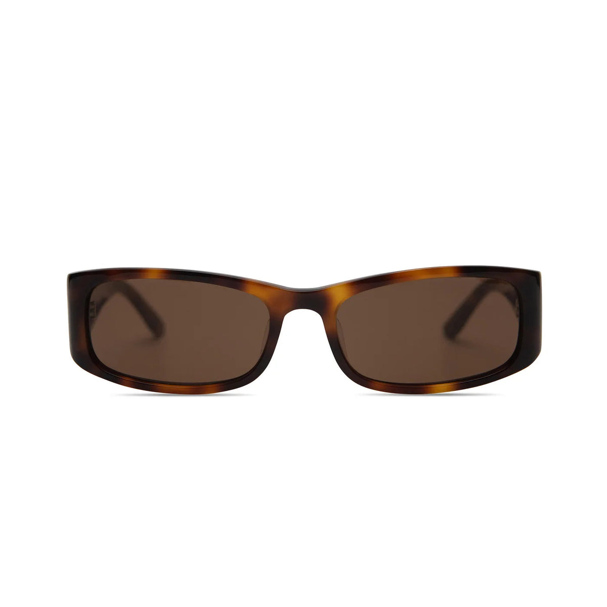 Elisa Johnson Reighne - Brown Tortoise