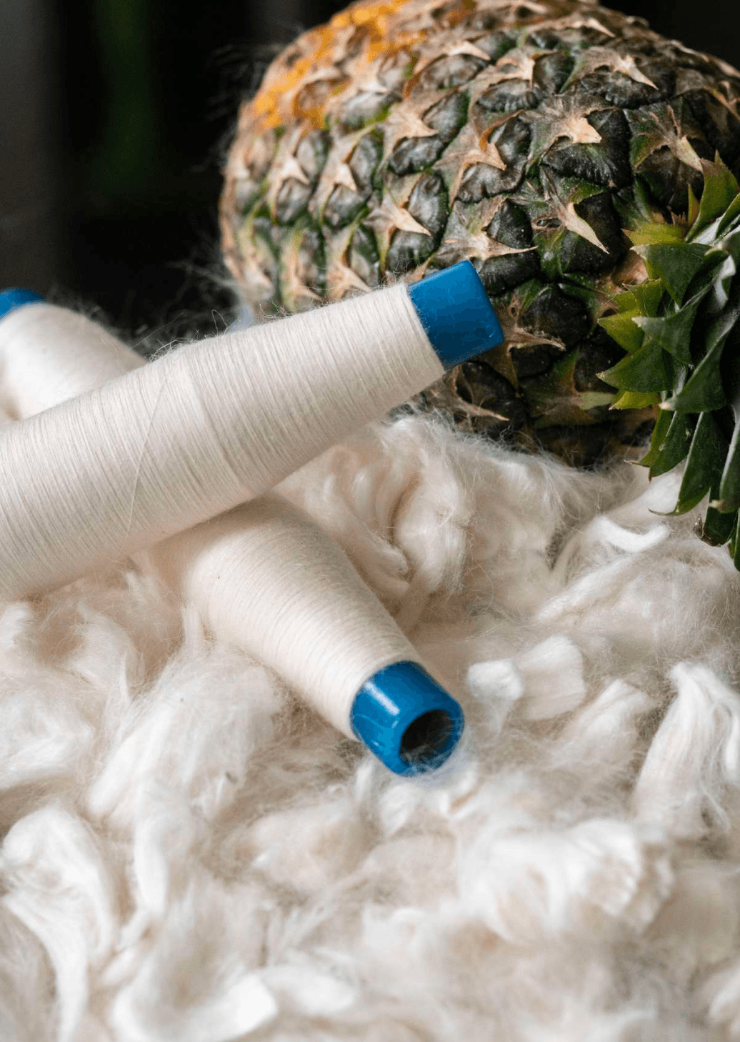 Cossac Ballet Wrap Top - Ecru Banana &amp; Pineapple Fiber