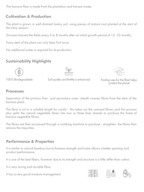 Banana Pineapple Drape Neckline Top in Ecru