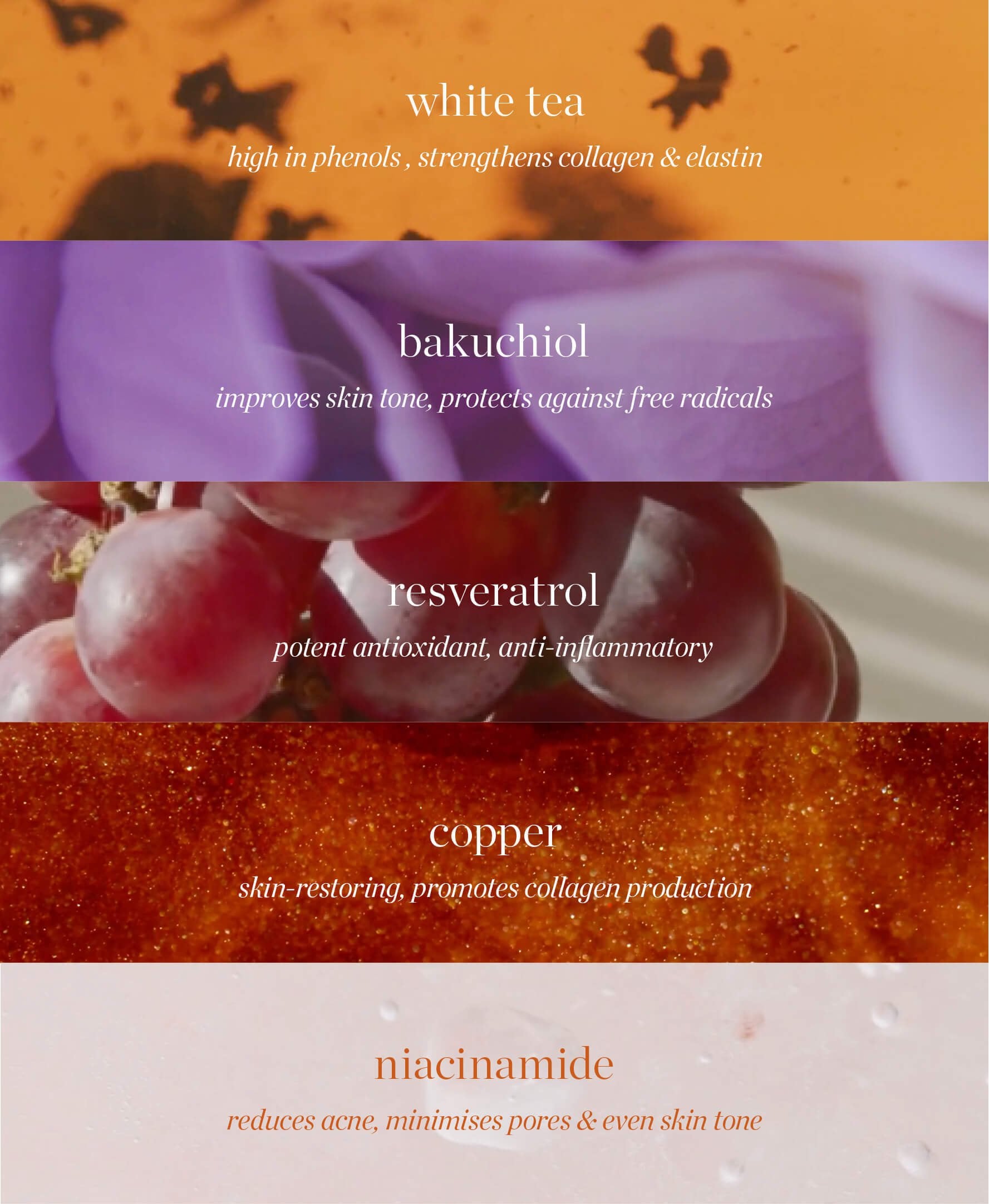 White Tea Phyto-Retinol Elixir